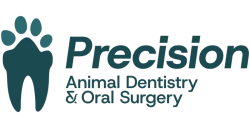Precision Animal Dentistry and Oral Surgery